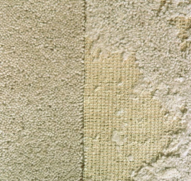 Get Rid of Carpet Moths. Information on Carpet Moth Treatment Pest