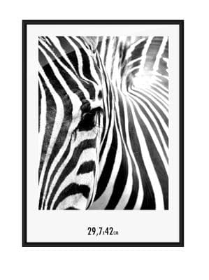 11.7x16.5 inch A3 Picture Poster Aluminium Frame