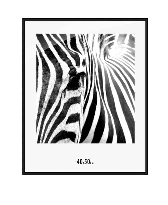 15.7 x 19.7 inch Picture Poster Photo Aluminium Frame