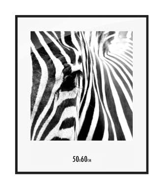 19.7x23.6 inch Picture Poster Aluminium Frame