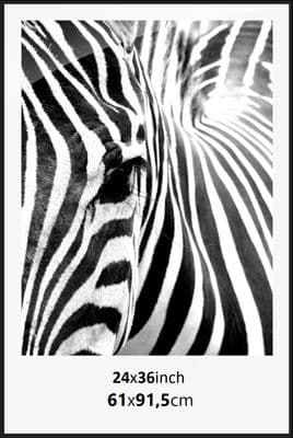 24x36 inch Picture Poster Aluminium Frame