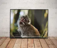 Large size, Black,  Elegant Aluminium Poster Frames 80 x 60 cm | 31.5 x 23.6 in
