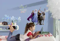 Frozen Disney children bedroom wall decal stickers 50x70cm | Shop online
