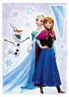 Frozen Disney childrens bedroom wall decal stickers 50x70cm | Shop online