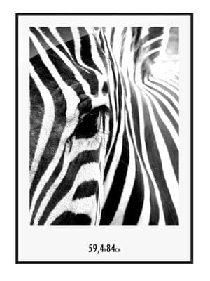 A1 23 x 33 inch Picture Poster Aluminium Frame