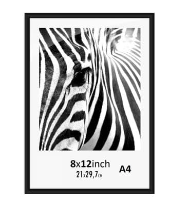 A4 Picture Poster Aluminium Frame 8,3 x 11,7 inch