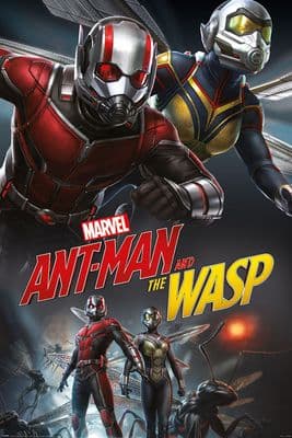 Ant-Man & Wasp, Dynamic 61x91,5cm Movie Poster