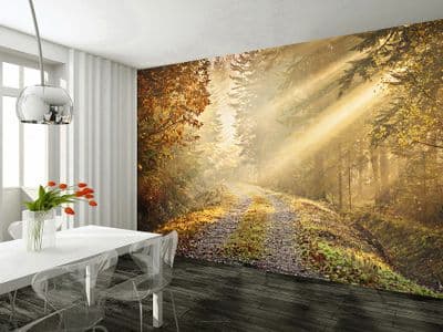 Autumn - forest patch wall mural wallpaper