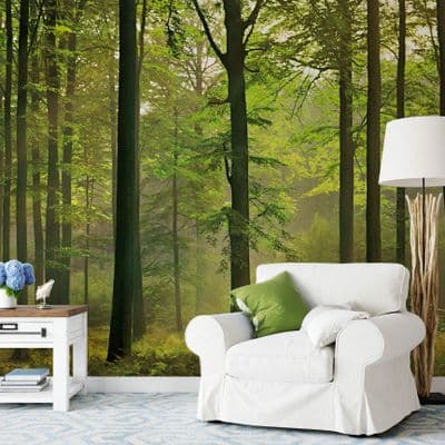 Autumn Forest wall mural wallpaper Premium