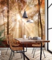 Autumn forest wallpaper murals | Homewallmurals Shop