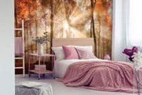 Autumn forest wallpaper murals | Homewallmurals Shop