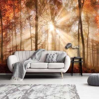 Autumn Orange forest photomural wallpaper