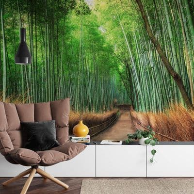 Bamboo Grove Kyoto wall mural wallpaper 260 x 384cm