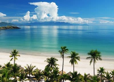 Beach scene tropics wall mural