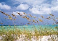 Beach scene wall mural for bedroom walls UK shop