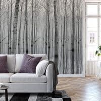 Birch Forest in the Water Wall Mural | Premium Non-Woven | Shop online