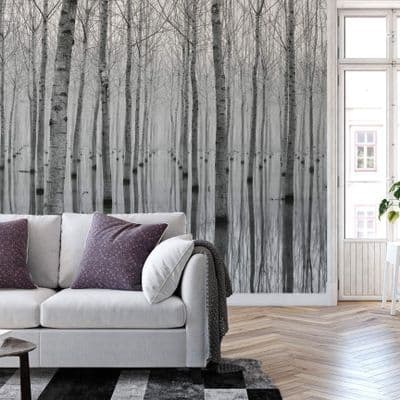 Birch Forest in the Water wall mural wallpaper Premium