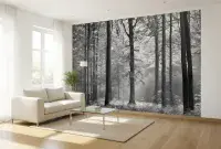 Living room photo wallpapers Black and White Forest | Shop online