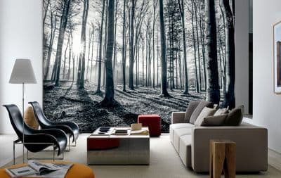 Black and white forest  wallpaper mural