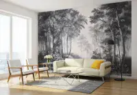 Giant Size Photo Wallpapers for Home Interior Walls  | Buy it online