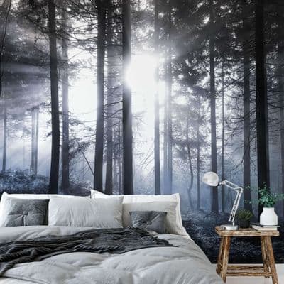 Black Forest Sunrays wall mural wallpaper