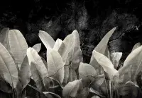 Wide range of adults bedroom Wallpapers and Wall Murals | Buy it online