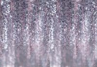 Photo wallpapers  blossom tree  and many more  | Buy it online