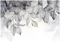 Large Leaves Wall Mural | Living Room and Bedroom Wallpaper | Allwallpapers