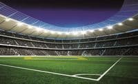 Football Stadium wall mural for kids room | Homewallmurals