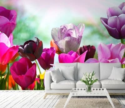 Colorful Tulips wall mural