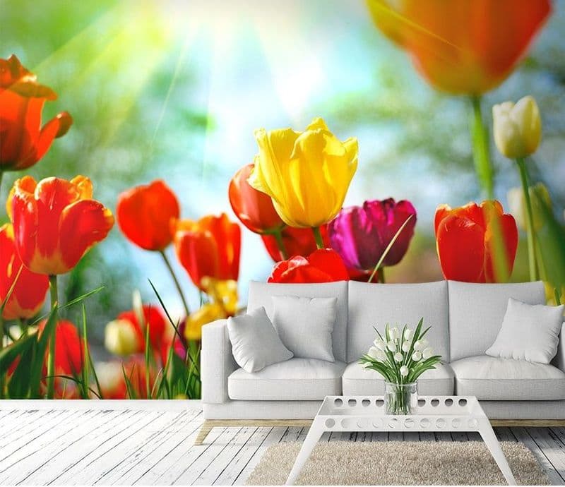 Wall murals for home walls Colourful spring flowers |Online store