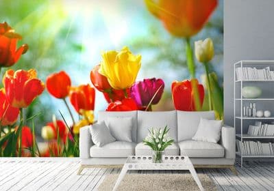 Colourful Tulips Floral summer wallpaper mural
