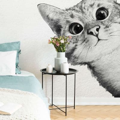 Curious Cat 192x260 wall mural wallpaper Premium