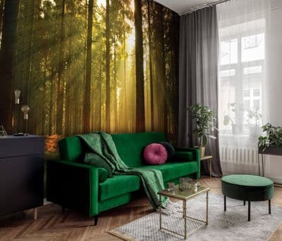 Dark Green Forest Bedroom Photo Wallpaper