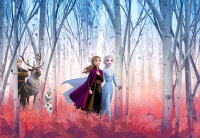 Disney Frozen 2 wallpaper mural