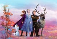 Frozen 2 photo wallpapers | Buy it now
