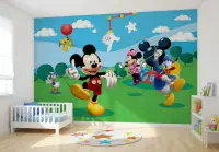 Disney Premium wall murals | Buy it now