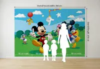 Disney Premium wall murals | Buy it now