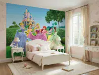 Disney Premium wall murals | Buy it now