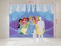Disney Princesses  wallpaper murals Premium | Buy it now