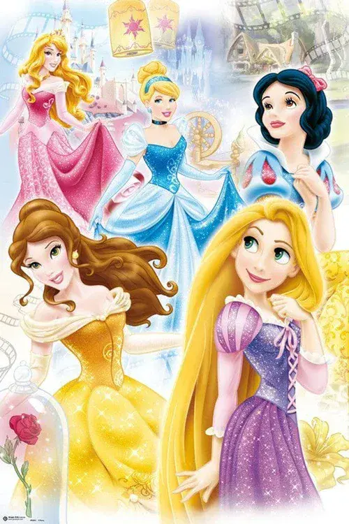 Disney Princesses 61x91,5cm Movie Poster | Buy it now