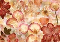Dried Flowers Wall Mural – Non-Woven Botanical Wallpaper | Orange Tones