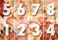 Dried Flowers Wall Mural – Non-Woven Botanical Wallpaper | Orange Tones