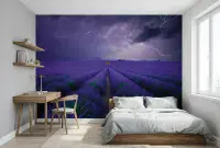 Field of Lavender Wall Mural Wallpaper | Premium Non-Woven