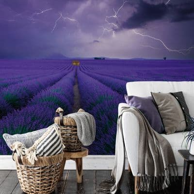 Field of Lavender wall mural wallpaper Premium