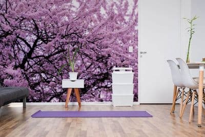 Flowering purple tree wall mural wallpaper 366x254 cm