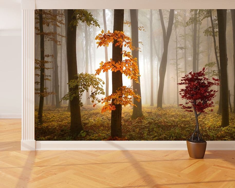 Bedroom photo wallpapers Foggy Autumn Forrest| Shop online