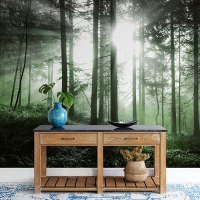 Foggy green forest wall mural wallpaper Premium