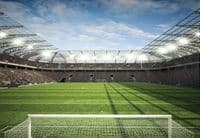 Football Stadium giant wall mural wallpaper | Buy it now