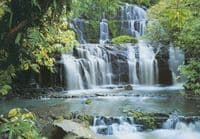 Forest Falls Photo Wallpapers for bedroom 368x254 cm